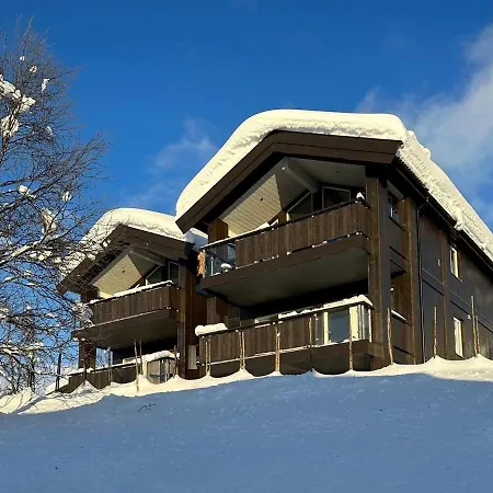 Bjelbolens Stjernely *