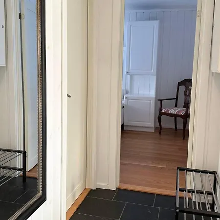 Bjelbolens Stjernely *