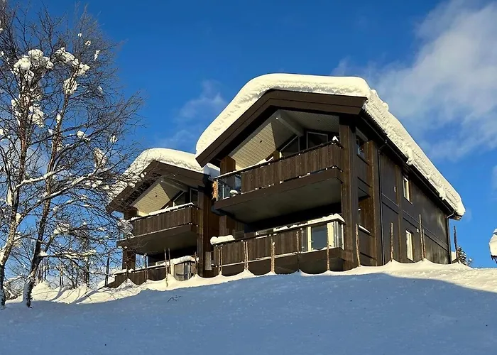 Bjelbolens Stjernely *